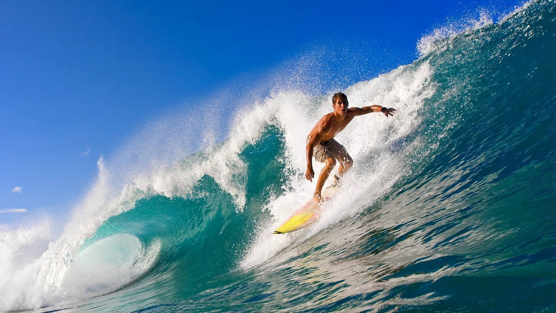 凯恩连续十五场比赛得分超过险胜，加拿大队不断突破！引发球迷热议